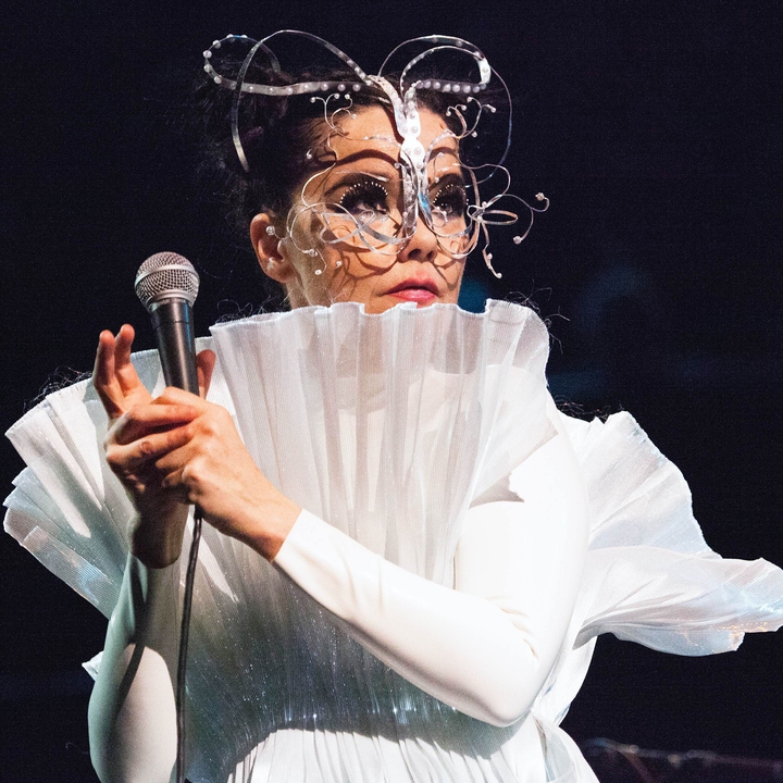 Björk 12333189