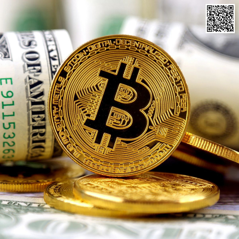 How Bitcoin Books Encourage Critical Thinking and Innovation?