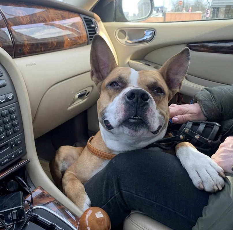 DFA1E605-B12D-429C-8213-48D58B644529