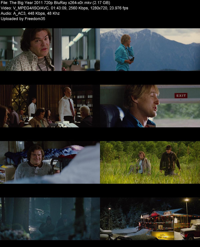 The-Big-Year-2011-720p-Blu-Ray-x264-x0r.