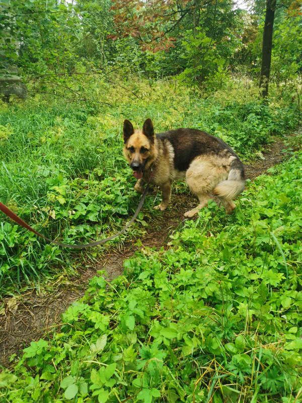 IMG-cb97831f8f2f3aa7fb037860011a1552-V