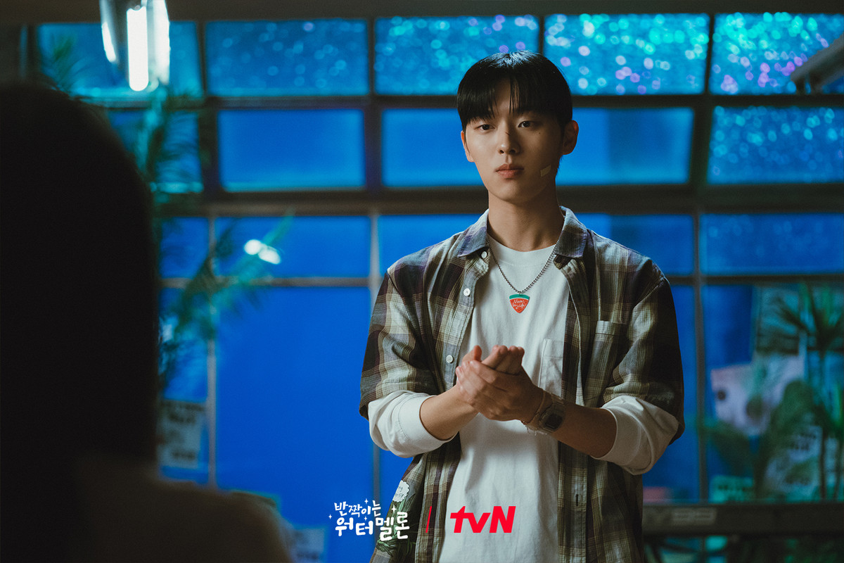 Twinkling-Watermelon-1106