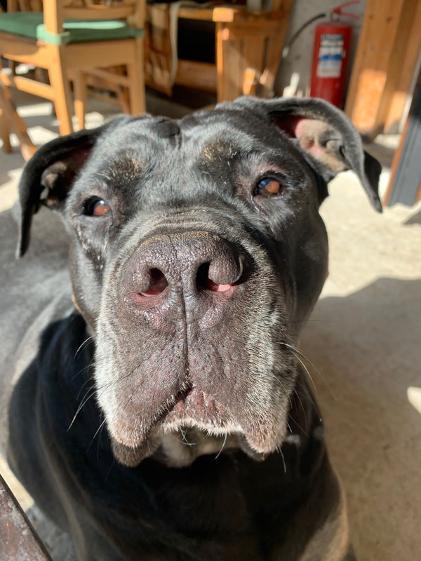 14FEFC17-8433-4D23-981A-4CC606E14495