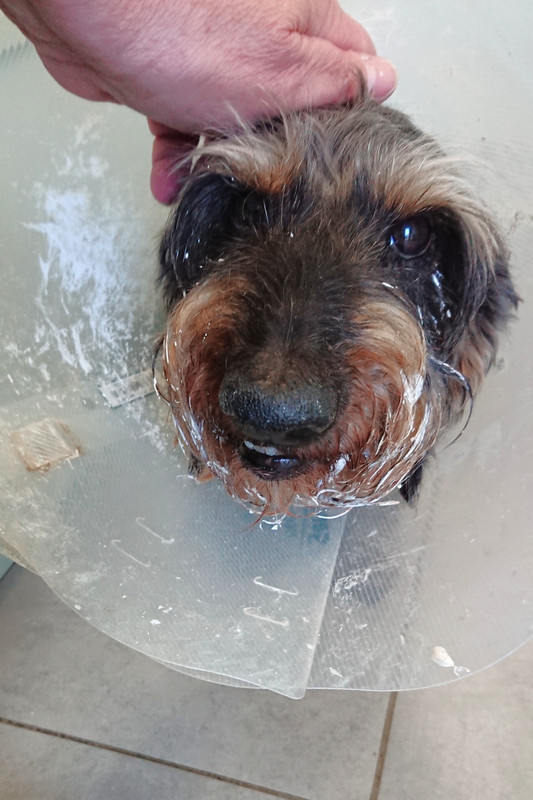 [Image: DSC-3753.jpg]