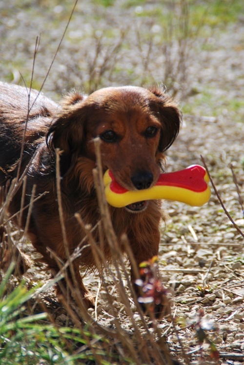 [Image: DSC-1635.jpg]