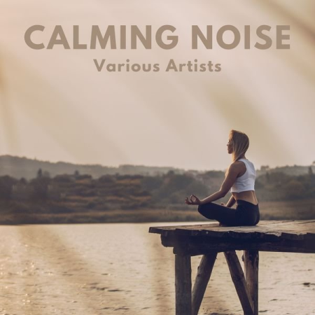 86d3786d 6caa 4930 bcb7 91b165978090 - VA - Calming Noise (2022)