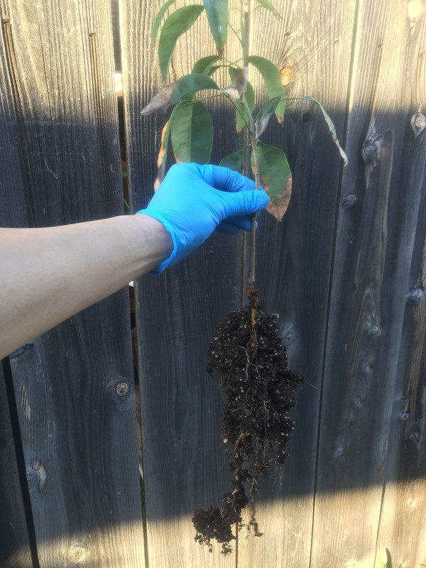 0BAE5D87-61FE-4947-B7A2-8C67E97A30EA