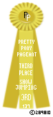 Show-Jumping-137-Yellow.png