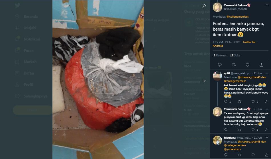 Lemari dan beras di kamar kos yang tak terawat hingga dipenuhi jamur dan kutu.