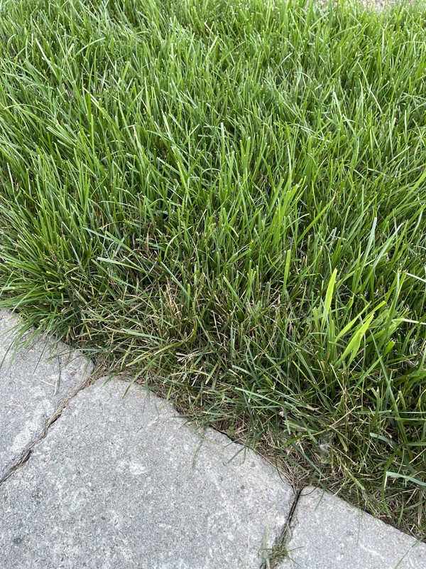 A6F807DC-0ACB-402A-AB6C-2C474DDD34CD