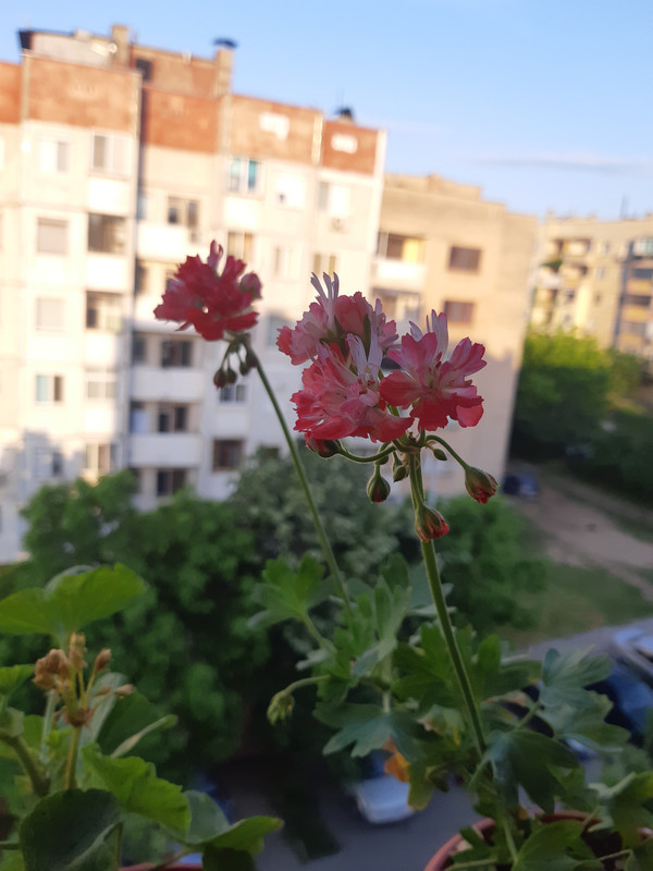 20190519_064847