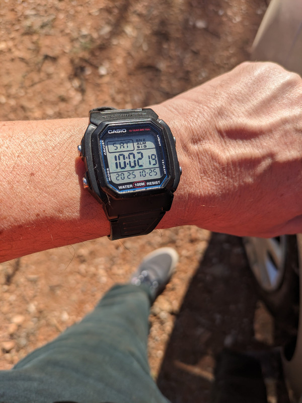 PXL 20251025 100209906 01