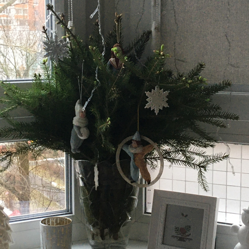 Разное Тимура Фрунзе, 20 Анина и посленовогоднее домашнее 058