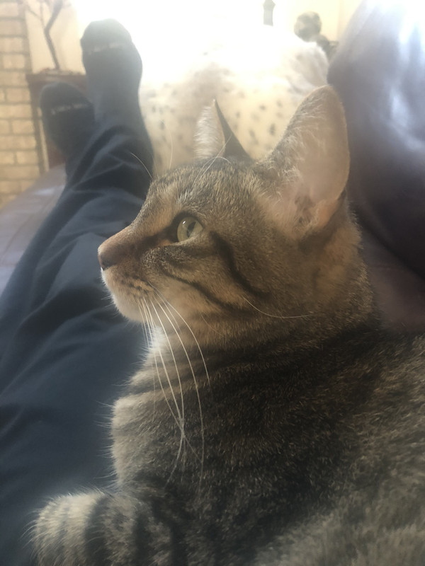 E61CB77B-A444-4106-88FC-3189321426D2