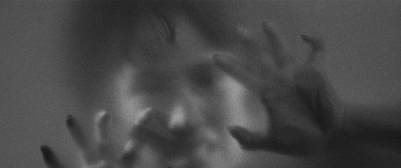 vlcsnap-2025-01-21-02h42m50s520