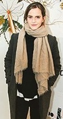 emmawatson-updates.com (1)
