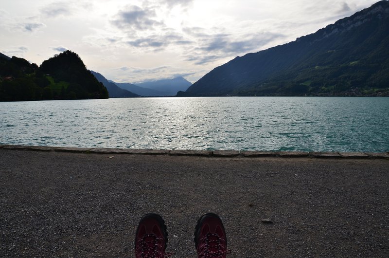 BRIENZ E ISELTWALD-9-9-2019 - Suiza y sus pueblos-2019 (68)