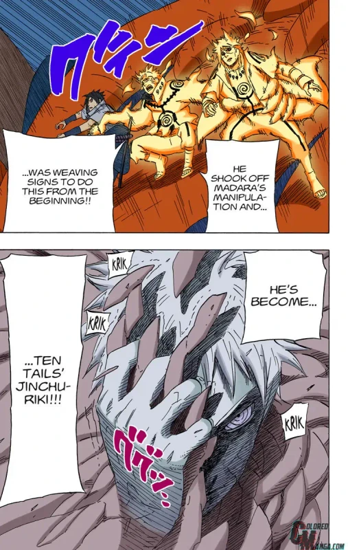 12373186 760 1200 161548