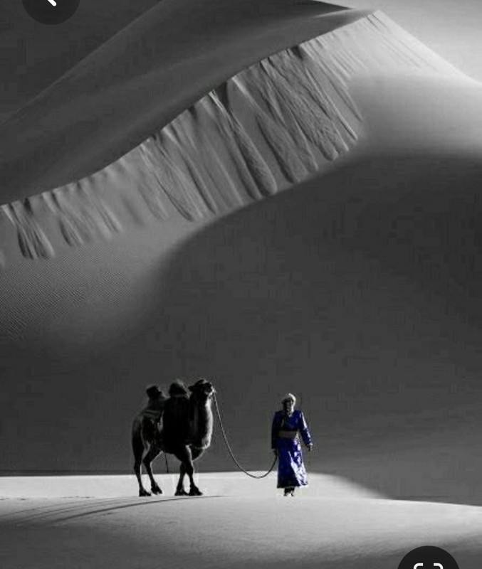 Screenshot_20230420_003516_Pinterest