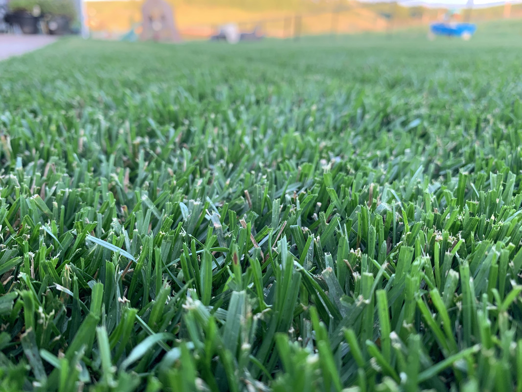 13C77E54-A8DA-4BB6-A35A-831B2D5B89C2