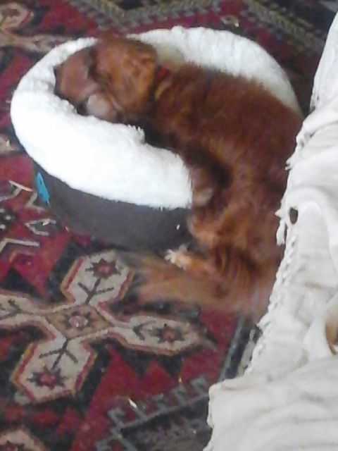 [Image: 20210920-173819.jpg]