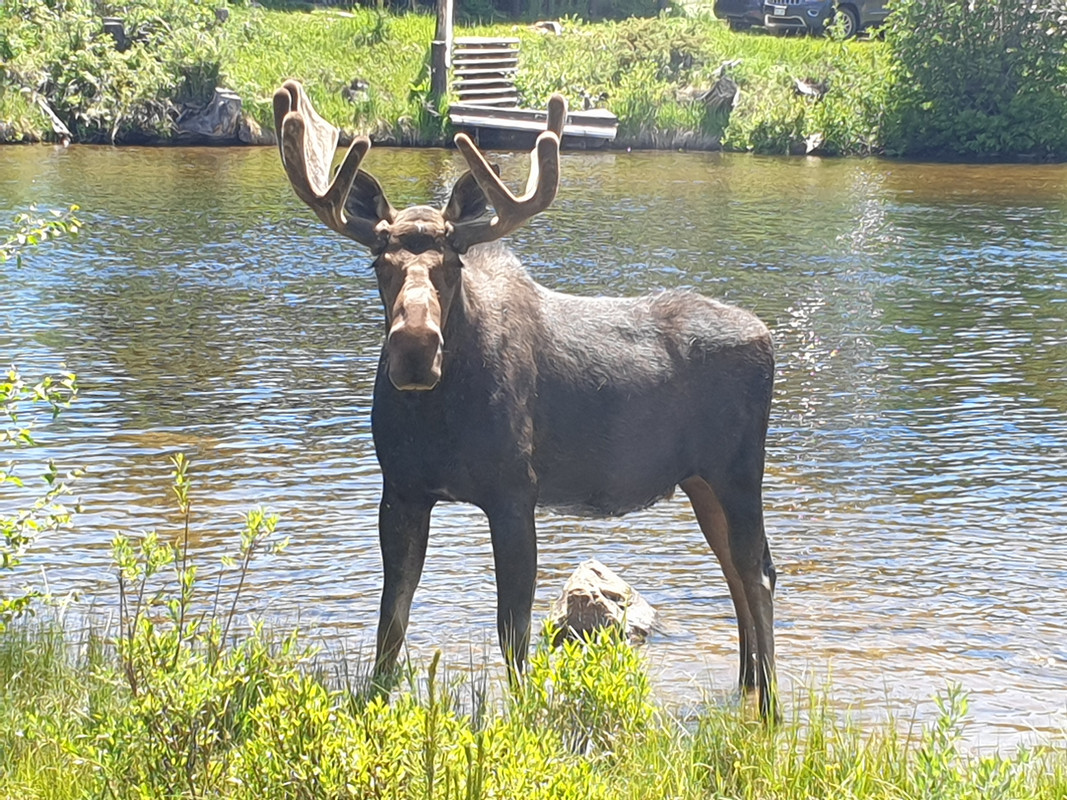 20190703_144423