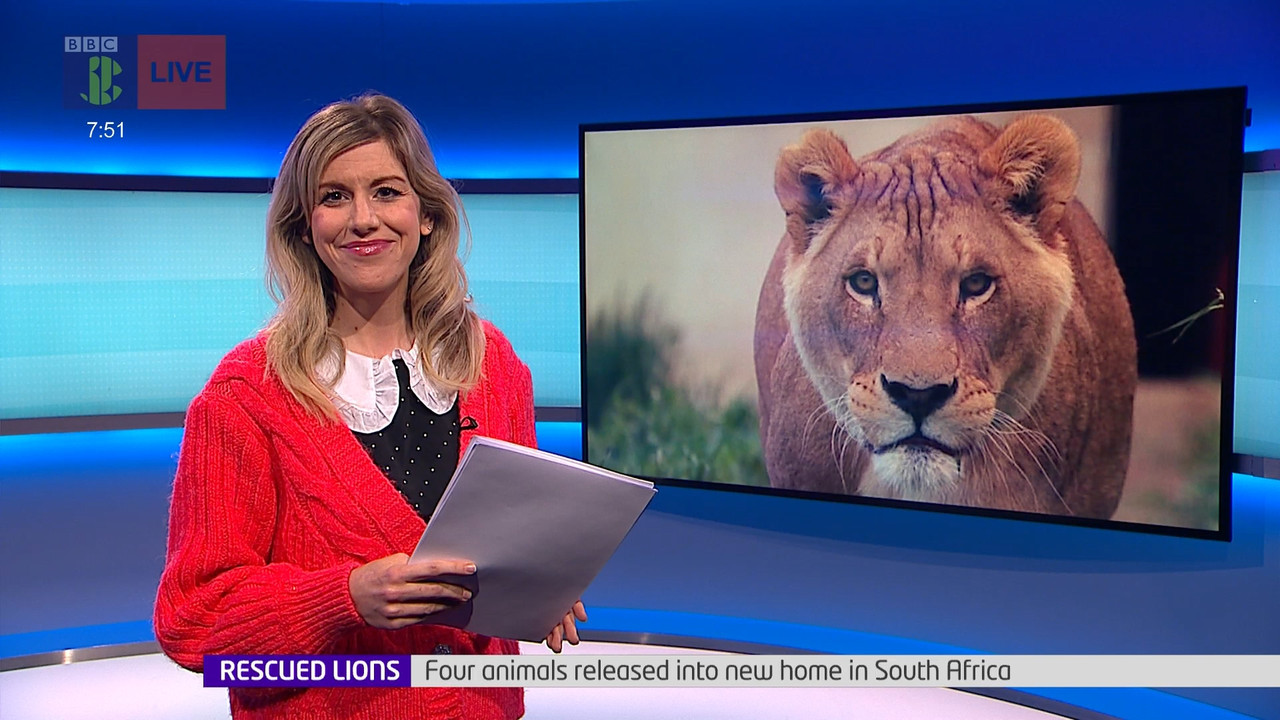 Newsround_20220223_07450755.ts_snapshot_07.11.977