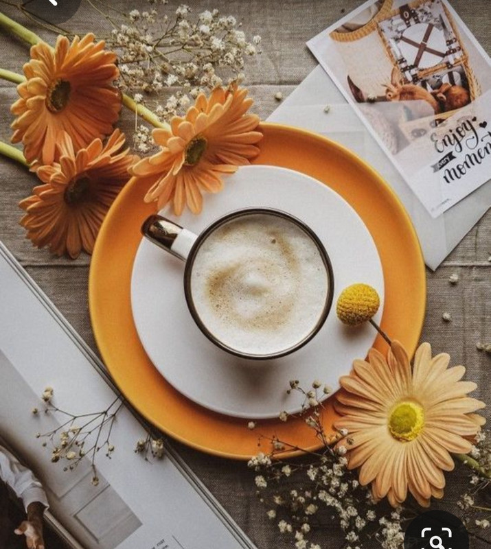 Screenshot_20230418_232940_Pinterest