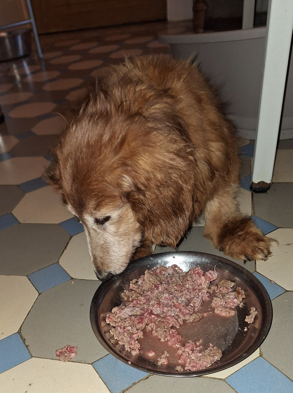 [Image: 20240823-194423.jpg]