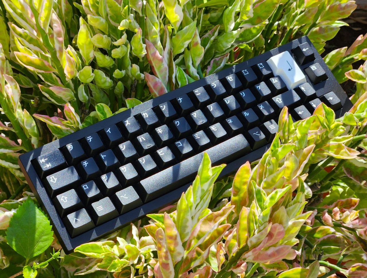 Keychron Q9 w/ GMK WoB Katakana