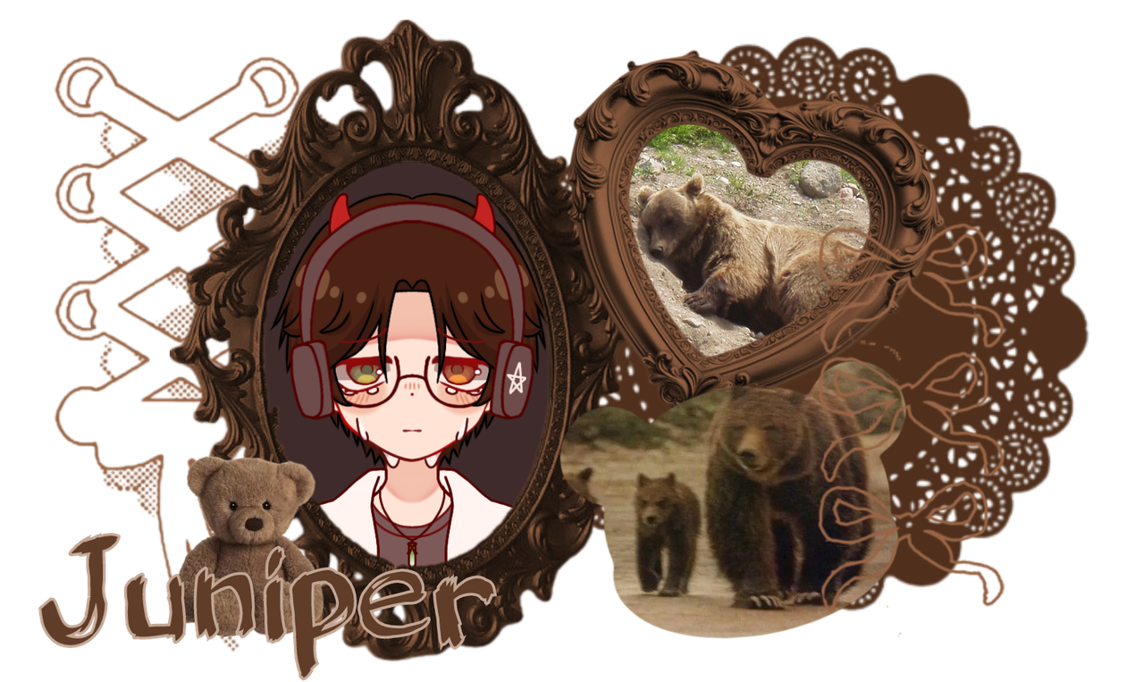 juniper | home