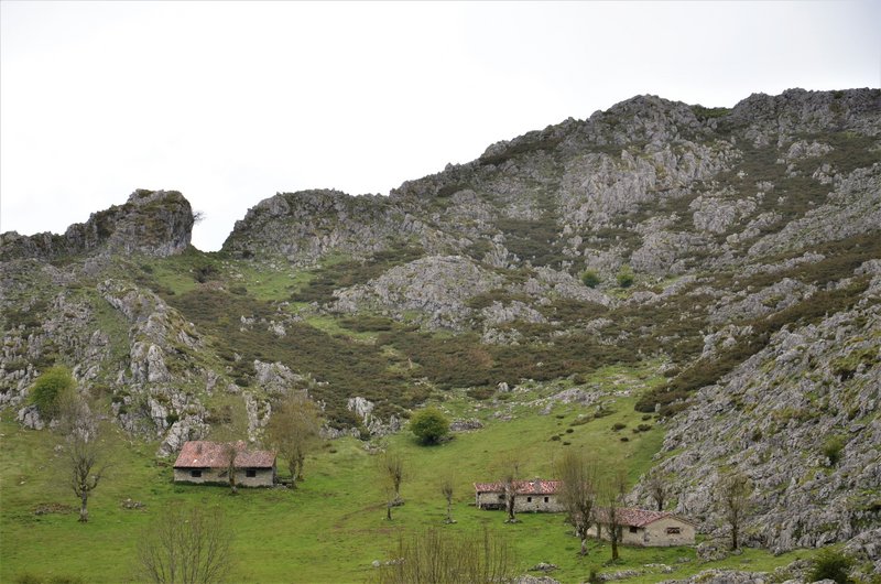PICOS DE EUROPA-16-5-2013-LEON/ASTURIAS/CANTABRIA - Paseando por España-1991/2016 (6)