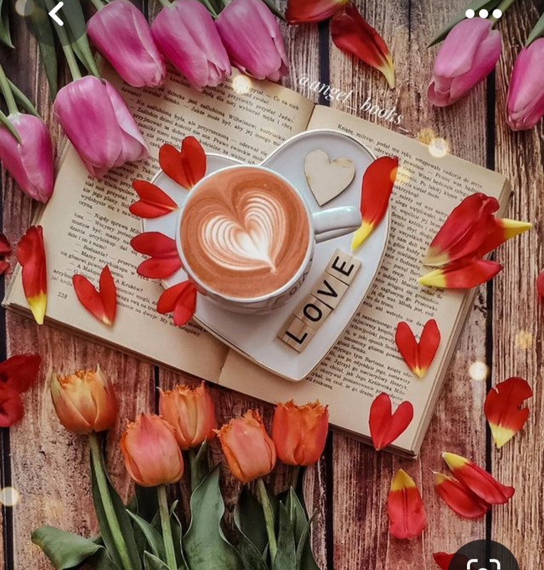 Screenshot_20230731_233237_Pinterest