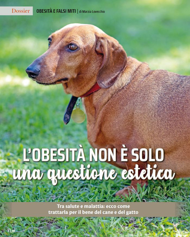 QuattroZampe Ott 2023 (3)