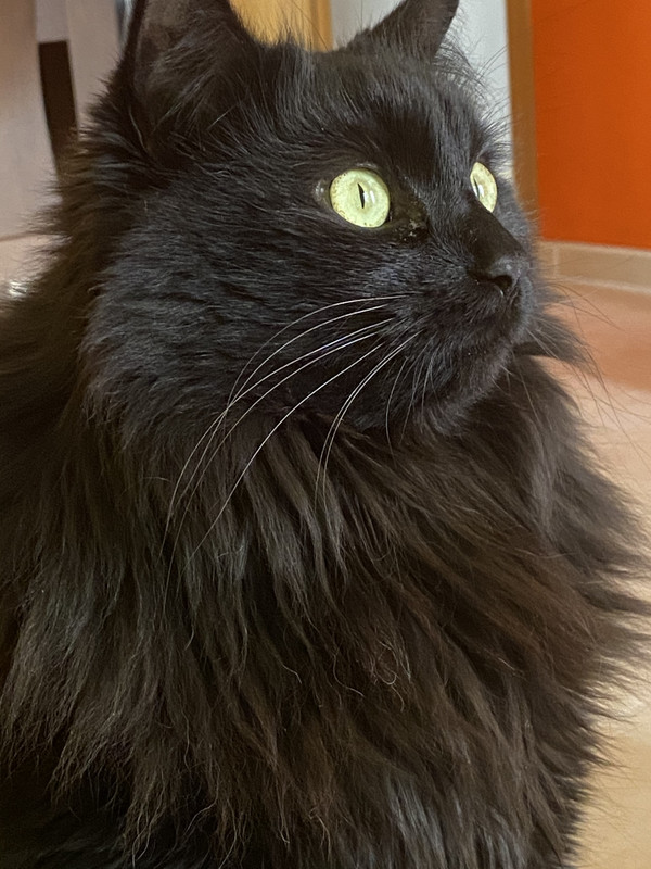 203FBB47-7C3C-4E56-B3D9-36ABDE259635