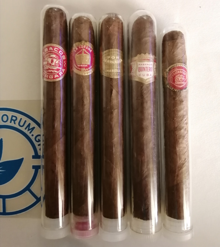 IMG_20220529_182329[1]