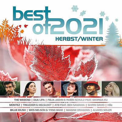 VA - Best Of 2021 - Herbst/Winter (2CD) (09/2021) Bbb1