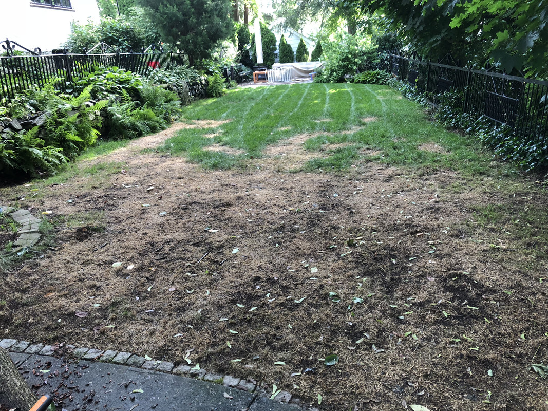 B595CCBB-685A-4BD6-83FC-A512D2520E4F