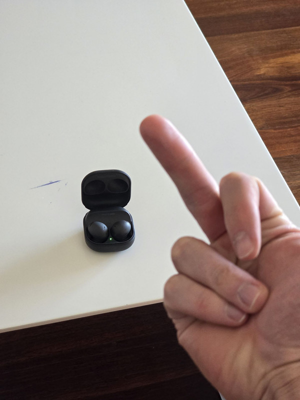 Samsung Galaxy Buds 2 Pro and TWS opinions