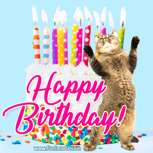 CANDLES-CAT-HAPPY-BIRTHDAY
