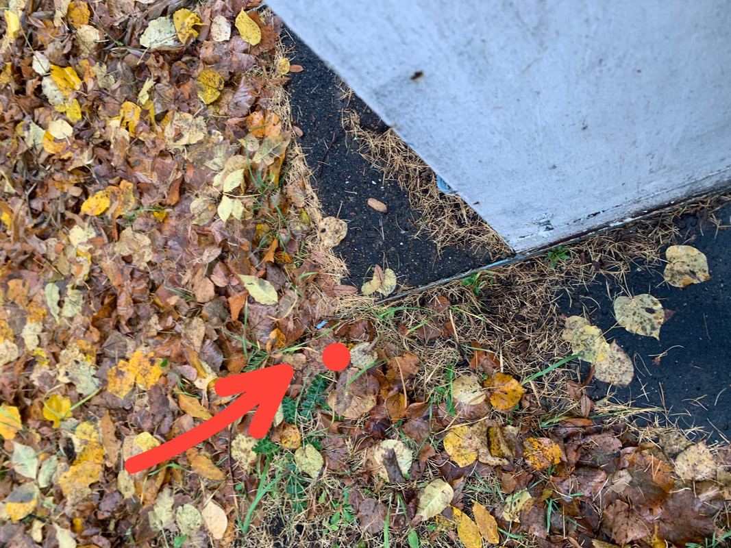 e743b3147a9dc45521ee4fab3428d727