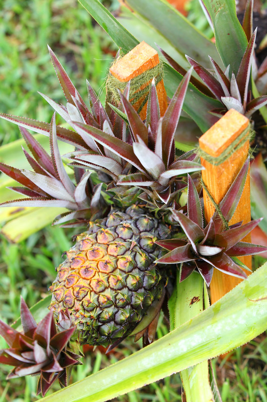 DF477CDF-89C4-43E6-89B9-9F6524505EDA