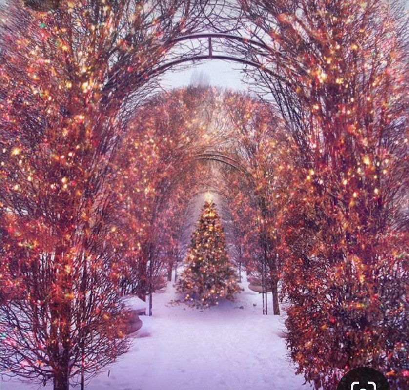 Screenshot_20230412_195038_Pinterest