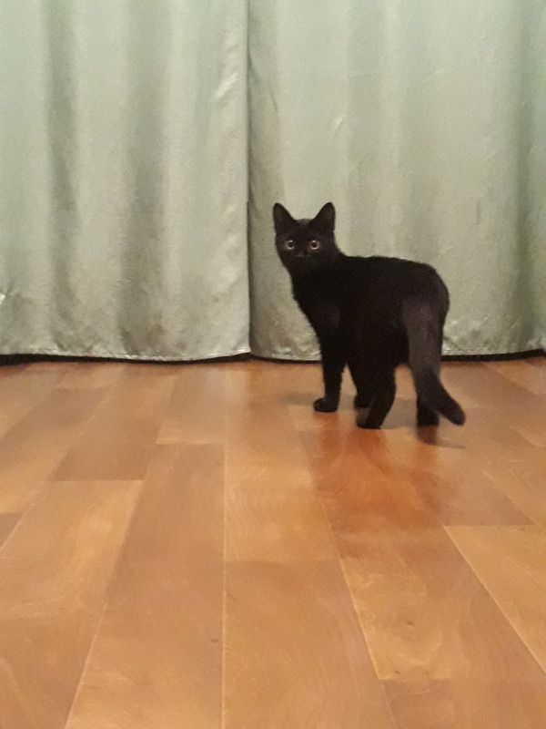 E36B219E-15BB-48EB-969F-9A82536A8FD4