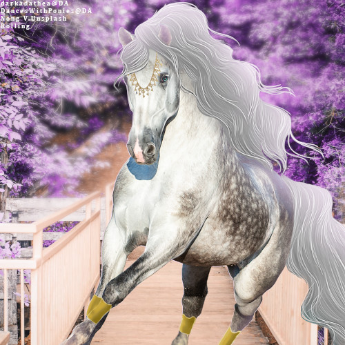 Thistle-Horse-Avi.jpg
