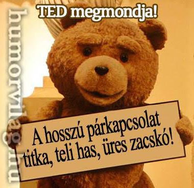 https://i.postimg.cc/m2Rqt8sf/ted-a-hosszu-parkapcsolat.jpg