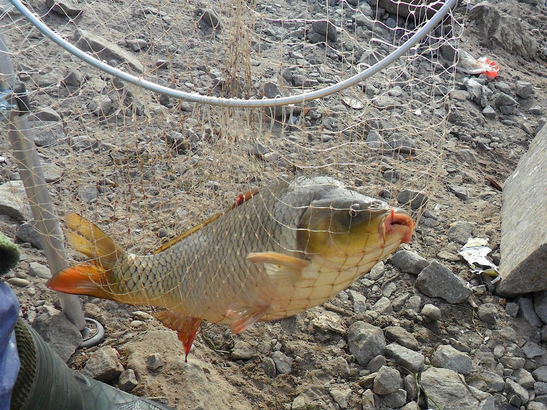 Добрянка 18.09.13 г 06