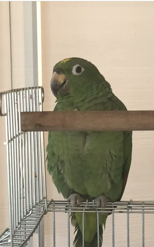 C4A1F298-9FAB-47DF-BD32-4556343E64E4