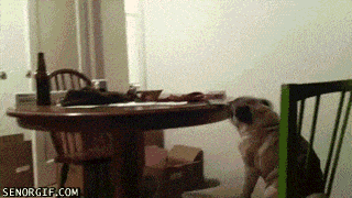 anigif_enhanced-buzz-25961-1385055442-5