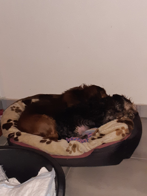 [Image: 20210203-074647.jpg]